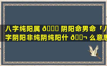 八字纯阳属 🐘 阴阳命男命「八字阴阳非纯阴纯阳什 🐬 么意思」